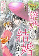 推し似の副社長と離婚するつもりで結婚します〜塩対応から始まる溺愛婚〜 5