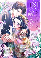 刻をかける嫁入り〜大奥から華と恋〜 3