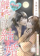 推し似の副社長と離婚するつもりで結婚します〜塩対応から始まる溺愛婚〜 6