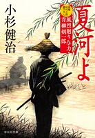 風烈廻り与力・青柳剣一郎