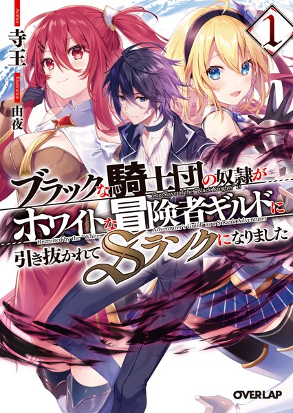 ブラックな騎士団の奴隷がホワイトな冒険者ギルドに引き抜かれてSランクになりました 1【期間限定 無料版】