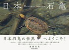 日本石亀