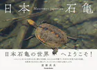 日本石亀
