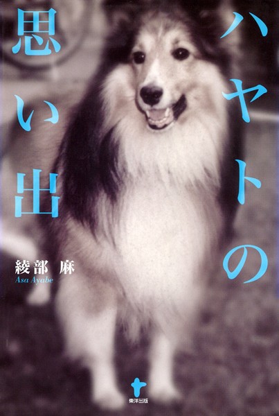 ハヤトの思い出