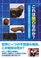 これは隕石なのか？