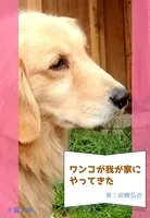 ワンコが我が家にやって来た