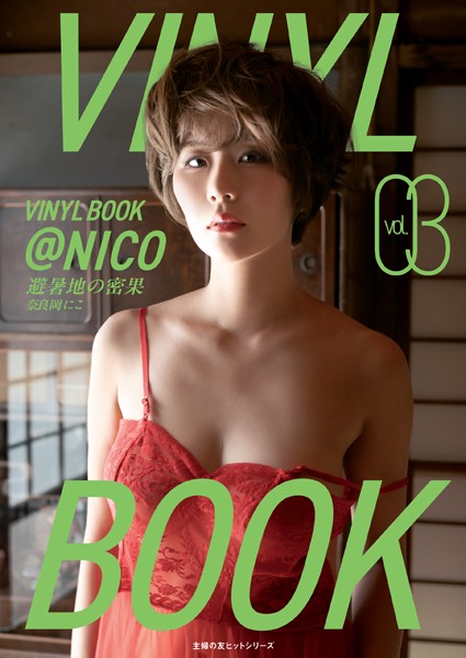 VINYL BOOK @NICO vol.03 表紙
