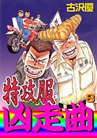 特攻服凶走曲