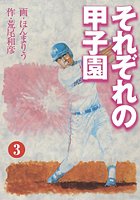 それぞれの甲子園