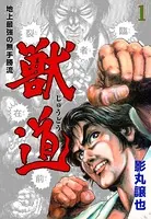 獣道〜地上最強の無手勝流〜