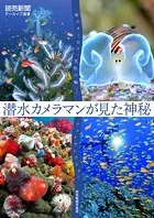 潜水カメラマンが見た神秘 海のオーロラ、天使の輪……フォトセレクション（読売新聞アーカイブ選書）