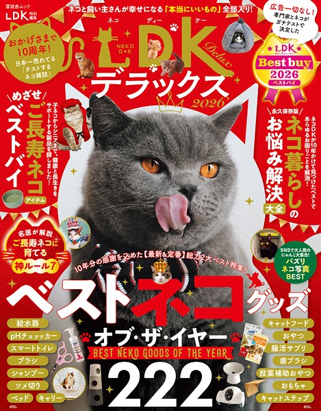 晋遊舎ムック ネコDK デラックス 2026