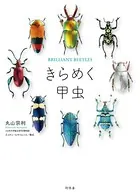 きらめく甲虫