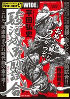 駿河城御前試合