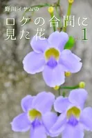 野川イサムのロケの合間に見た花 vol.01