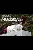 菊池茂夫の「そとねこ」 vol.1