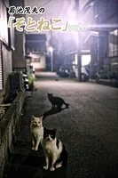 菊池茂夫の「そとねこ」 vol.6