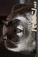 菊池茂夫の「そとねこ」 vol.8