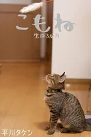こもね〜生後3か月〜