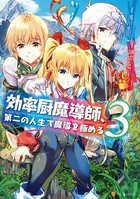 効率厨魔導師、第二の人生で魔導を極める 3