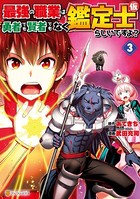 最強の職業は勇者でも賢者でもなく鑑定士(仮)らしいですよ? 3