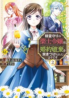 精霊守りの薬士令嬢は、婚約破棄を突きつけられたようです2