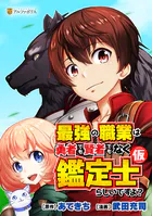 最強の職業は勇者でも賢者でもなく鑑定士（仮）らしいですよ？ 番外編