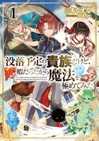 没落予定の貴族だけど、暇だったから魔法を極めてみた