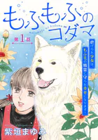 もふもふのコダマ〜虐げられ少女は、もふ毛の精霊に守られ幸せになります！〜＜単話版＞（単話）