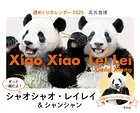 週めくりカレンダー 2025 ずっと一緒だよ！ シャオシャオ・レイレイ＆シャンシャン