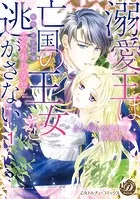 溺愛王は亡国の王女を逃がさない〜ふしだらな蜜月と高潔の契り〜【分冊版】（単話）