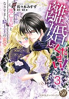 離婚してください！〜逃亡王妃となりすまし騎士王の蜜愛〜【分冊版】3