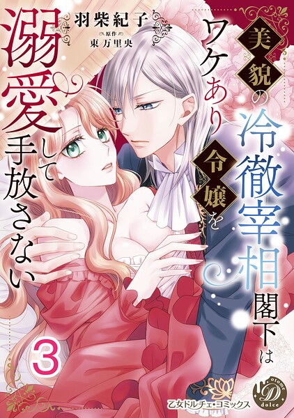 美貌の冷徹宰相閣下はワケあり令嬢を溺愛して手放さない【分冊版】3