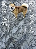 福島第一原発20キロ圏内の記録