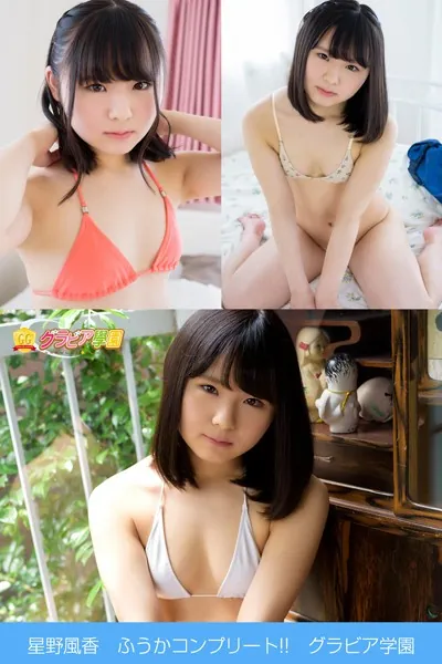 星野風香 ふうかコンプリート！！ グラビア学園 ど素人！ど新人！普通の女の子が脱ぐ！衝撃ですっ！写真集3冊＋αの超お買い得版！！