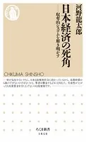 日本経済の死角 ――収奪的システムを解き明かす