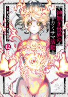 神無き世界のカミサマ活動（12）