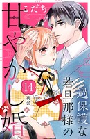 過保護な若旦那様の甘やかし婚 ［comic tint］ 分冊版（14）