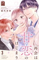 再会は甘恋のはじまり 3