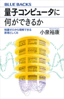 量子コンピュータに何ができるか 知識ゼロから理解できる原理としくみ