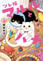ツレ猫 マルルとハチ（3）