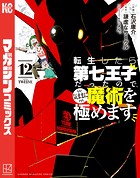 転生したら第七王子だったので、気ままに魔術を極めます（12）