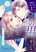 至極の男〜もう一度愛される夜［comic tint］ 分冊版（10）