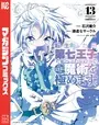 転生したら第七王子だったので、気ままに魔術を極めます（13