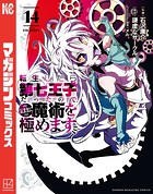 転生したら第七王子だったので、気ままに魔術を極めます（14）