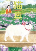 猫奥