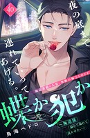 蝶か犯か 〜極道様 溢れて溢れて泣かせたい〜 分冊版（40）