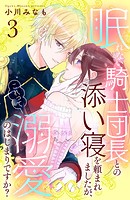 眠れない騎士団長との添い寝を頼まれましたが、これって溺愛のはじまりですか？ 分冊版（3）