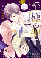 至極の男〜もう一度愛される夜［comic tint］ 分冊版（14）