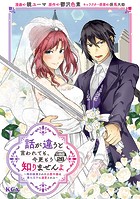 話が違うと言われても、今更もう知りませんよ 〜婚約破棄された公爵令嬢は第七王子に溺愛される〜 分冊版（28）